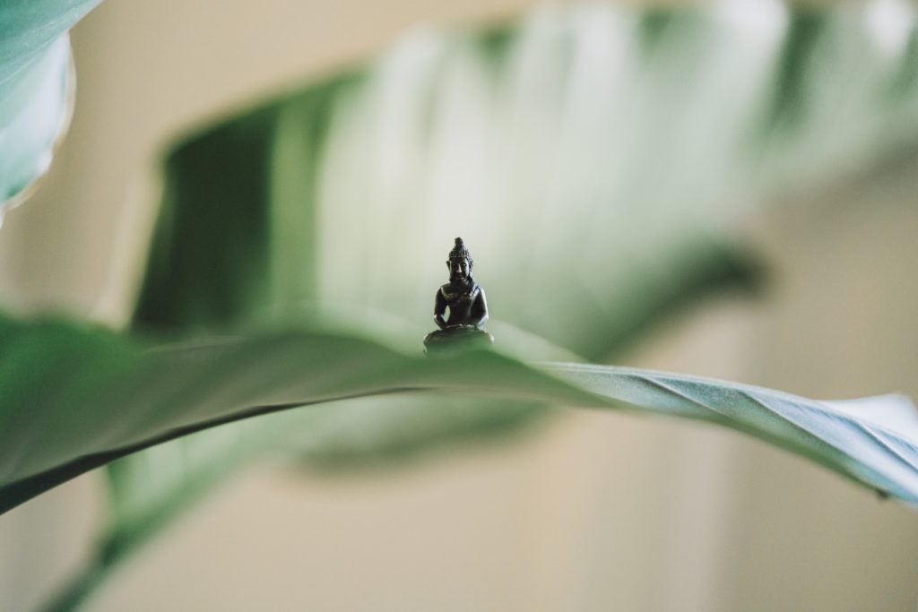  meditazione-Foto di Samuel Austin su Unsplash